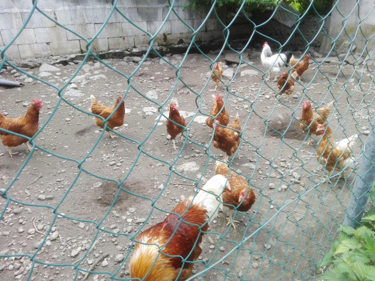 Familiengasthof Zirmhof Мальта Экстерьер фото